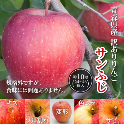 今年も約10kgお届けします!　訳ありりんご「サンふじ」24〜46個入【R7年12月中旬〜発送開始】【配送不可地域：離島・沖縄県】【1333055】