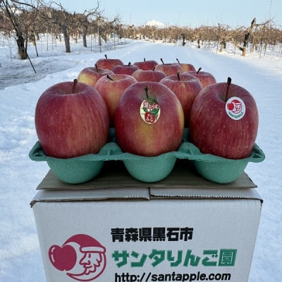 èµåºãæ¥ããããèãšãããµã³ãµããå°çãçŽ3ãã(13åååŸå
¥)ãå®ã硬ãã§é£æè¯å¥œãé
éäžå¯å°åïŒé¢å³¶ãã1721055ã