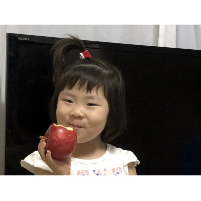 青森りんご　未希ライフ　家庭用　3kg　しっかりとした食感、玄人好みの夏りんご【配送不可地域：離島】【1648649】
