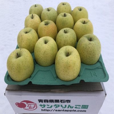 甘い青りんごの定番　青森県産　王林　贈答用　約5キロ　農家直送【1430915】