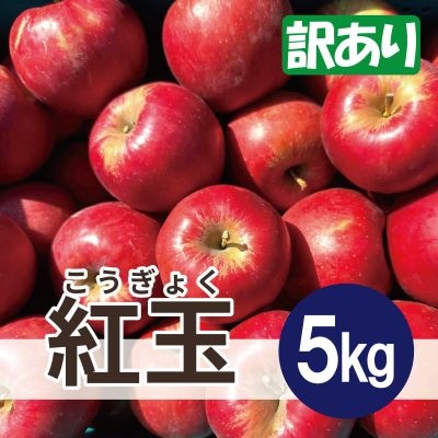 【26年4月より順次発送】 紅玉 約5kg 訳あり  クール便【配送不可地域：離島・沖縄県】【1611867】