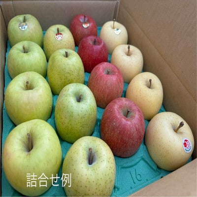 園主おススメ!　旬のりんご詰め合わせ　【贈答用】　約5キロ　4品種食べ比べ【1568465】