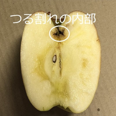 サンふじ&ぐんま名月【家庭用】約5キロ　農家直送　青森りんご【1568470】