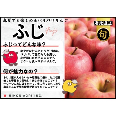 平均糖度13度以上! 有袋ふじ 約10kg 訳あり CA貯蔵 クール便【配送不可地域：離島・沖縄県】【1613262】