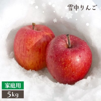 青森県黒石産雪中貯蔵サンふじ家庭用約5kg【配送不可地域：離島】【1386959】