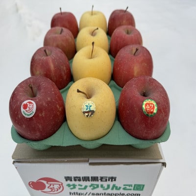 サンふじ&金星(きんせい)　家庭用　3キロ　紅白りんごの詰合せ　祝事やお正月に【1697746】