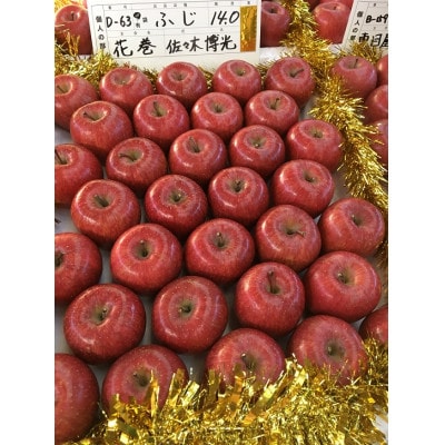 りんごと言えば、本場青森県産サンふじ　贈答用　約5kg　13個前後入り【1383075】