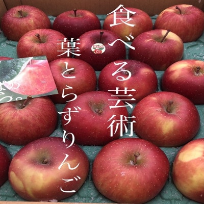 園主一押し!味をとことん突き詰めたりんご　葉とらずサンふじ　贈答用　約5kg　蜜入り期待大!【1342650】