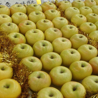 甘い青りんごの定番　青森県産　王林　贈答用　約5キロ　農家直送【1430915】