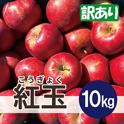 【26年3月より順次発送】 紅玉 約10kg 訳あり【配送不可地域：沖縄県】【1611864】