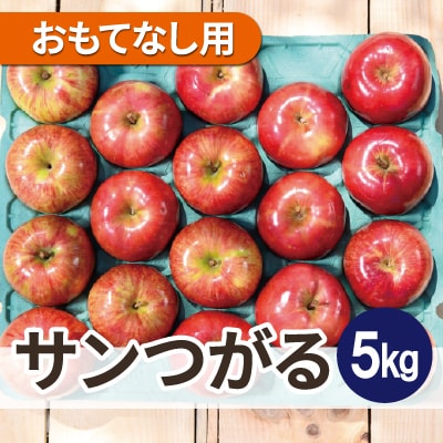 【25年9月より順次発送】平均糖度12度以上! サンつがる 約5kg おもてなし用  クール便【配送不可地域：離島・沖縄県】【1611772】