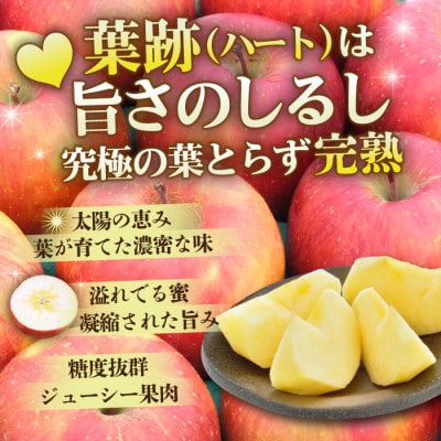 【4月出荷予定】平均糖度13度以上! 葉とらずサンふじ 約10kg 訳あり クール便 青森県産りんご【配送不可地域：離島・沖縄県】【1717799】