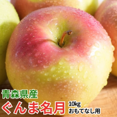 【26年11月から順次発送】平均糖度13度以上! ぐんま名月 約10kg おもてなし用 青森 りんご【配送不可地域：沖縄県】【1610377】