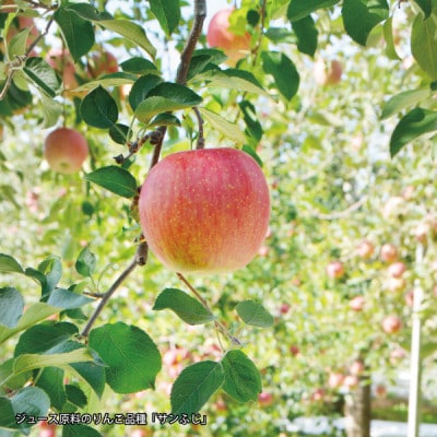 髱呈」ョ逵碁サ堤浹蟶ゆク雁香蟾晉肇繧オ繝ウ縺オ縺100%菴ソ逕ィ縲辟。豺サ蜉縲縺縺。縺九i縺、縺上▲縺溘j繧薙#繧ク繝・繝シ繧ケ縲1Lテ6譛ャ繧サ繝繝医1649811縲