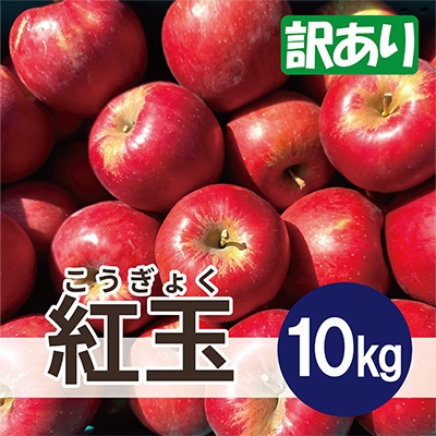 【25年12月より順次発送】 紅玉 約10kg 訳あり【配送不可地域：沖縄県】【1611851】