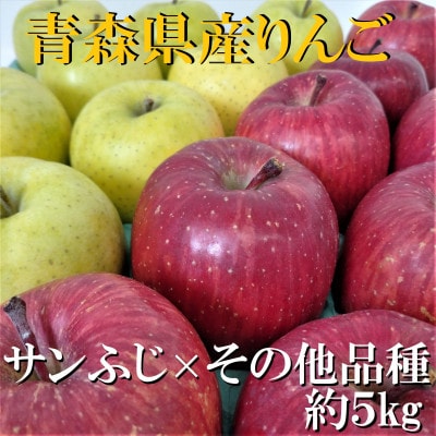 サンふじ×その他品種　約5kg【津軽みらい農業協同組合の青森県産りんご】【1063272】