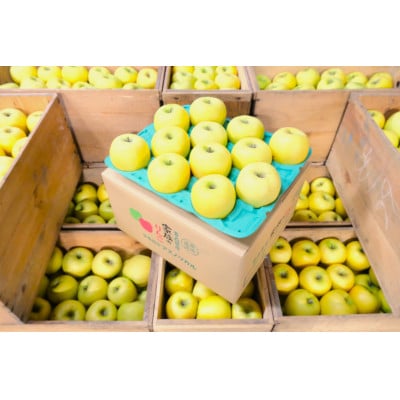 【26年6月より順次発送】平均糖度13度以上! シナノゴールド 約10kg おもてなし用  クール便【配送不可地域：離島・沖縄県】【1610020】