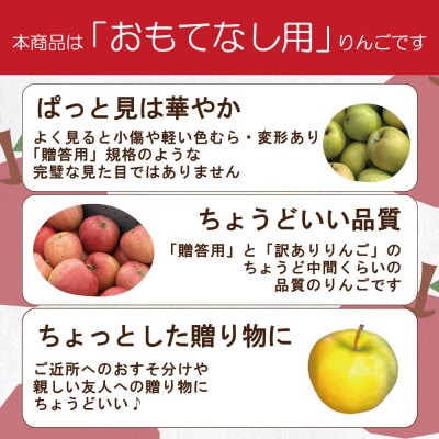 【26年3月より順次発送】平均糖度13度以上! サンふじ 約5kg おもてなし用【配送不可地域：沖縄県】【1611225】