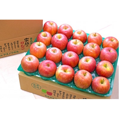 【26年11月から順次発送】青森りんご 平均糖度13度以上! シナノスイート 約5kg おもてなし用【配送不可地域：離島・沖縄県】【1626719】