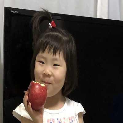 りんごと言えば、本場青森県産サンふじ　贈答用　約5kg　13個前後入り【1383075】