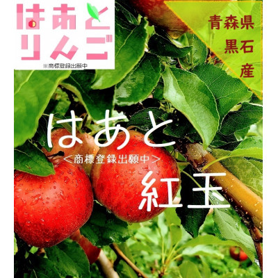 青森県産りんご　’はあと’紅玉　3K箱【1425256】