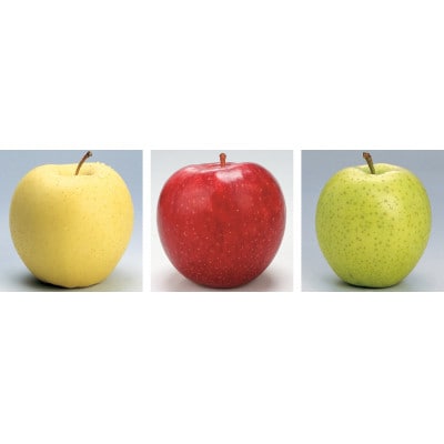 【発送月固定定期便】R8年2月発送開始　青森県産りんご　月替わりでお届けします全3回【配送不可地域：離島・沖縄県】【4068143】