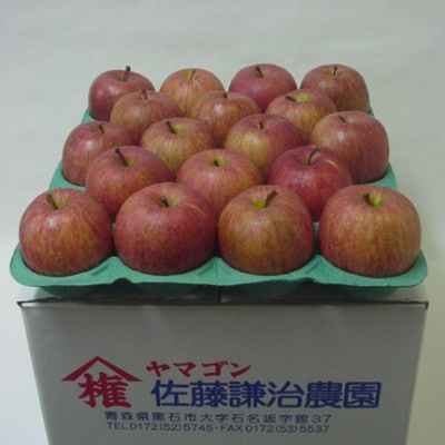 【青森県黒石市産】サンふじ りんご5kg【1251378】