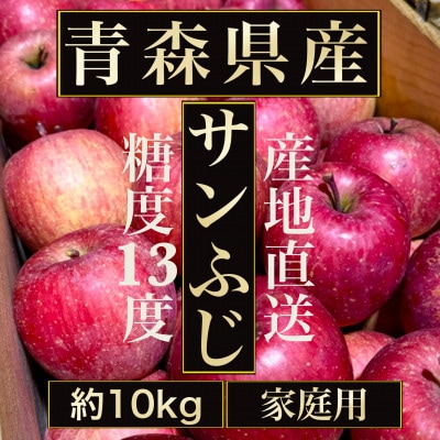 【青森の誇り】青森直送サンふじりんご約10kg(家庭用/訳あり)【1729050】