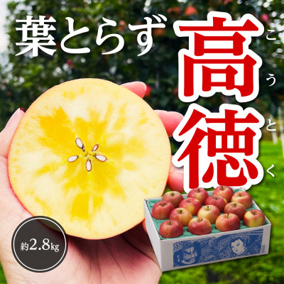 【令和7年11月上旬〜発送】今年もお届け。味にこだわる生産者から「葉とらずこうとく」2.8kg【配送不可地域：離島】【1124030】