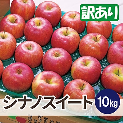 【25年12月より順次発送】平均糖度13度以上! シナノスイート 約10kg 訳あり【配送不可地域：沖縄県】【1611303】
