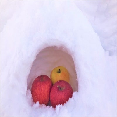 èµåºãæ¥ããããèãšãããµã³ãµããå°çãçŽ3ãã(13åååŸå
¥)ãå®ã硬ãã§é£æè¯å¥œãé
éäžå¯å°åïŒé¢å³¶ãã1721055ã