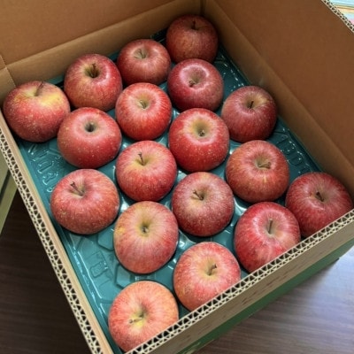 【青森の誇り】青森直送サンふじりんご約10kg(家庭用/訳あり)【1729050】