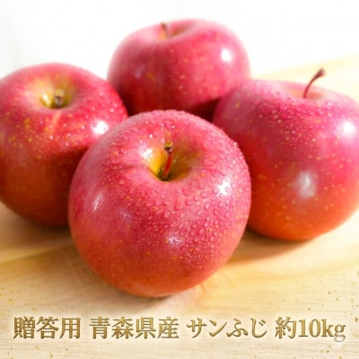 【26年11月から順次発送】平均糖度13度以上! サンふじ 約10kg 贈答 青森県産 りんご【配送不可地域：沖縄県】【1611196】