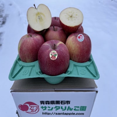 葉とらずサンふじ　家庭用　3キロ　見た目も個性的で、味を追求したりんご【1697744】