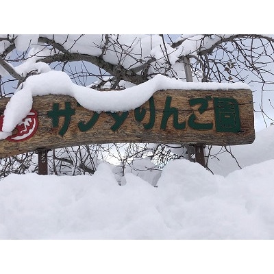 初秋の定番りんご“サンつがる”　本場津軽よりもぎたてをお届け　贈答用　3キロ　【配送不可地域：離島】【1427236】