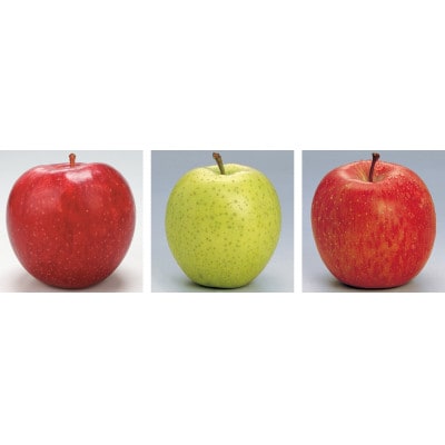 【発送月固定定期便】R8年3月発送開始　青森県産りんご　月替わりでお届けします全3回【配送不可地域：離島・沖縄県】【4068144】