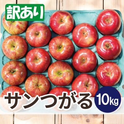 平均糖度12度以上! サンつがる 約10kg 訳あり  クール便【配送不可地域：離島・沖縄県】【1611777】