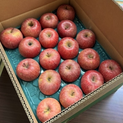 【青森の誇り】青森直送サンふじりんご約5kg(家庭用/訳あり)【1729060】