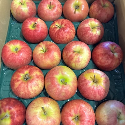 ã鿣®ã®èªãã鿣®çŽéãžã§ããŽãŒã«ããããçŽ3kg(å®¶åºçš/èš³ãã)ãé
éäžå¯å°åïŒé¢å³¶ãã1740242ã