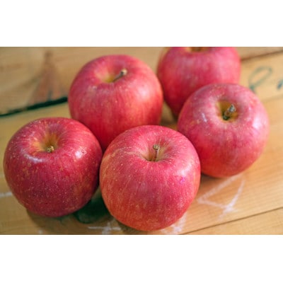 【26年6月出荷予定】平均糖度13度以上! 有袋ふじ 約5kg 訳あり CA貯蔵 クール便【配送不可地域：離島・沖縄県】【1613255】