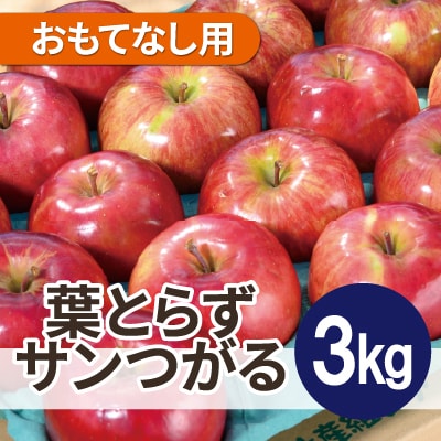 【25年9月より順次発送】平均糖度12度以上! 葉とらずサンつがる約3kg おもてなし用  クール便【配送不可地域：離島・沖縄県】【1611769】
