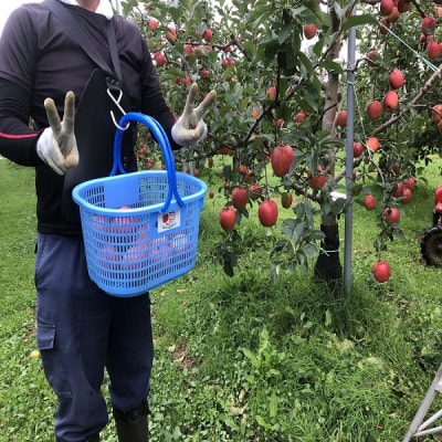 青森県産　シナノレッド　家庭用　約3kg　夏の暑さに合う、果汁溢れる爽やかな酸味のりんご【配送不可地域：離島】【1648602】
