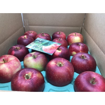 青森りんご　恋空(こいぞら)　家庭用　約5kg　お盆の頃に収穫　真夏の本格派りんご　約18個入り【配送不可地域：離島】【1648322】