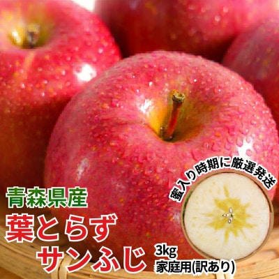11-12月蜜入り時期に発送! 平均糖度13度以上 葉とらずサンふじ 約3kg 訳あり 青森 りんご【配送不可地域：沖縄県】【1740643】