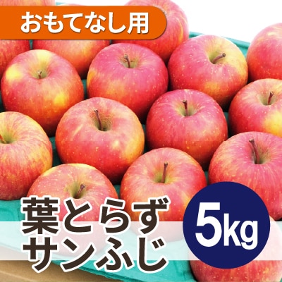 平均糖度13度以上! 葉とらずサンふじ 約5kg おもてなし用【配送不可地域：沖縄県】【1611290】