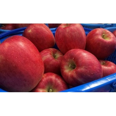 青森県産シナノドルチェ　贈答用約3kg　まだ暑い時期に、爽やかな酸味がぴったり!【配送不可地域：離島】【1338680】