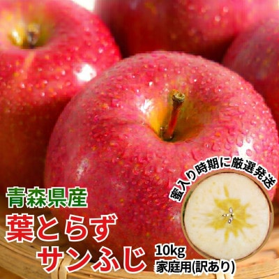 11-12æèå
¥ãææã«çºé! å¹³åç³åºŠ13åºŠä»¥äž èãšãããµã³ãµã çŽ10kg èš³ãã å®¶åºçšãé
éäžå¯å°åïŒæ²çžçãã1740666ã