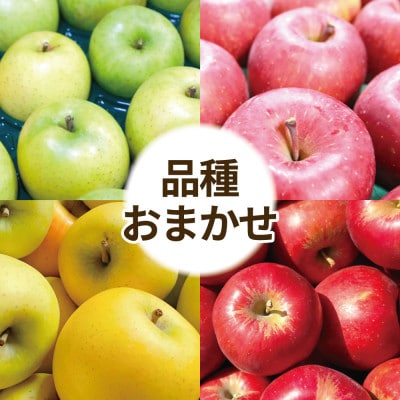 青森県産 りんご 品種おまかせ 約2kg 訳あり お試しサイズ【配送不可地域：離島・沖縄県】【1717075】