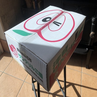 青森県産　シナノレッド　贈答用　約3kg　夏の暑さに合う、果汁溢れる爽やかな酸味のりんご【配送不可地域：離島】【1648605】