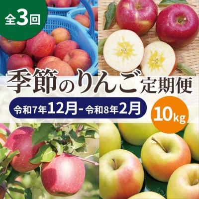【発送月固定定期便】青森りんご 訳あり 品種おまかせ 10kg 12月〜2月全3回【配送不可地域：離島・沖縄県】【4067595】